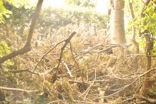DSC_0006.JPG