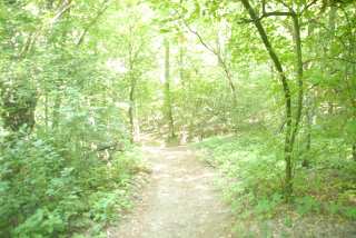 DSC_0023.JPG