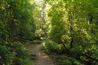 DSC_0025.JPG