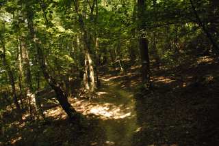DSC_0028.JPG