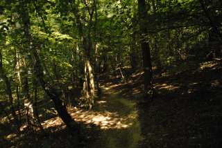 DSC_0029.JPG