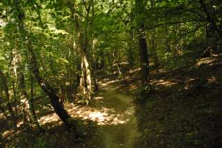DSC_0030.JPG