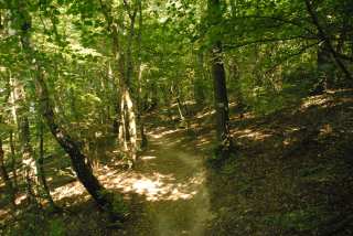 DSC_0031.JPG