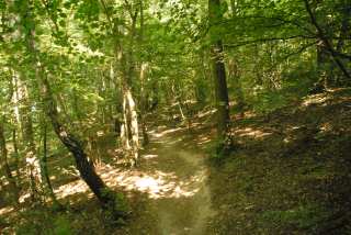 DSC_0032.JPG