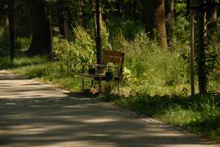 DSC_0062.JPG