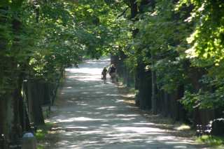 DSC_0103.JPG
