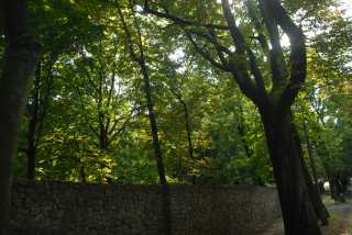 DSC_0107.JPG