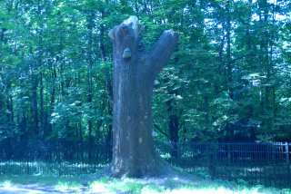 DSC_0111.JPG