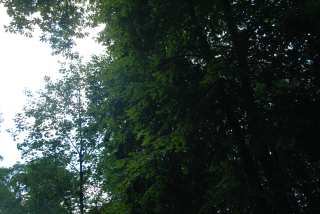 DSC_0120.JPG
