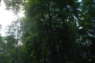 DSC_0122.JPG