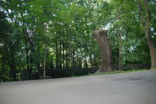 DSC_0124.JPG