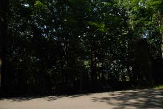 DSC_0126.JPG