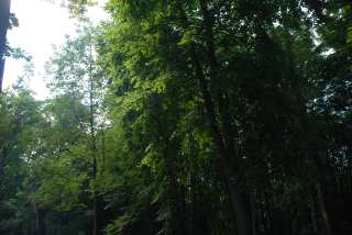 DSC_0143.JPG