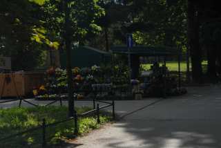 DSC_0147.JPG
