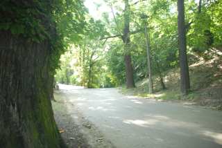 DSC_0151.JPG