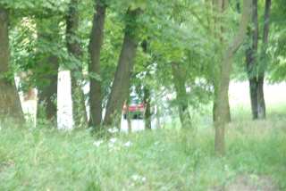 DSC_0160.JPG