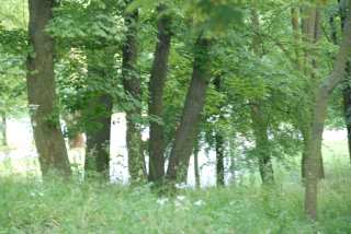 DSC_0161.JPG
