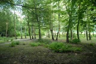 DSC_0164.JPG