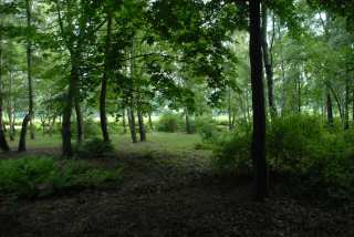 DSC_0165.JPG