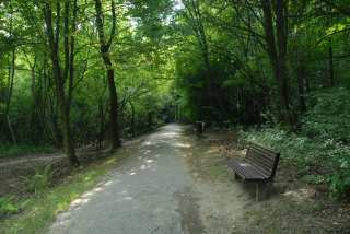 DSC_0170.JPG