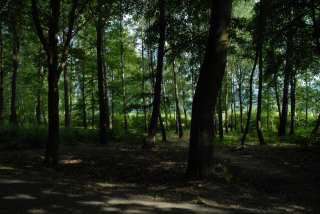 DSC_0171.JPG