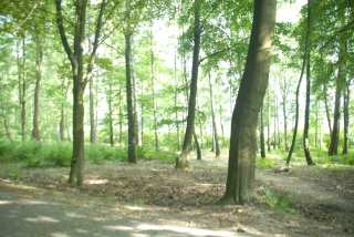 DSC_0172.JPG