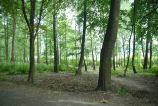 DSC_0173.JPG