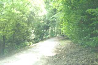 DSC_0175.JPG