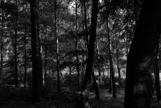 DSC_0177.JPG