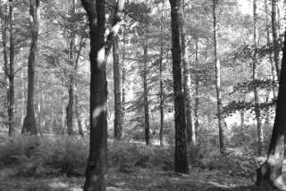 DSC_0178.JPG