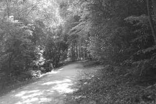 DSC_0179.JPG