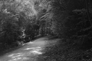 DSC_0180.JPG