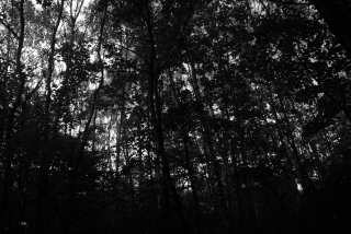 DSC_0186.JPG