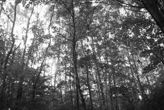 DSC_0187.JPG