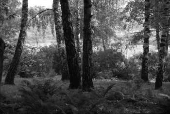 DSC_0205.JPG