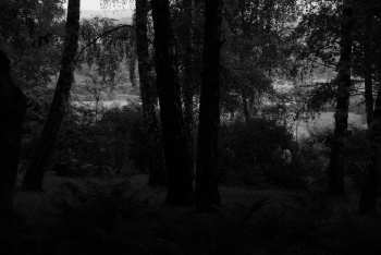 DSC_0206.JPG