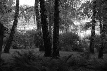 DSC_0207.JPG