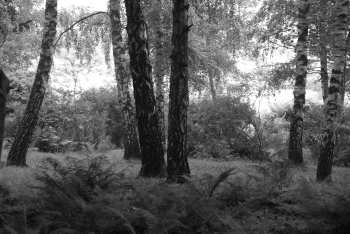 DSC_0208.JPG