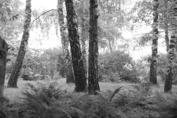 DSC_0211.JPG