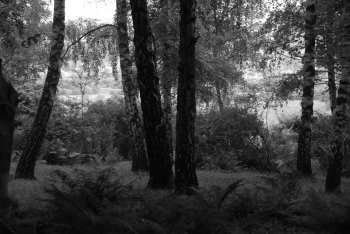 DSC_0212.JPG