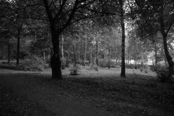 DSC_0214.JPG