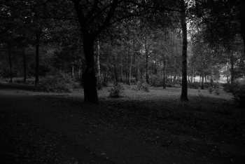DSC_0215.JPG