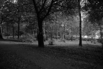 DSC_0216.JPG