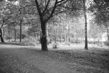 DSC_0217.JPG