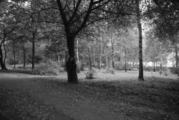 DSC_0218.JPG