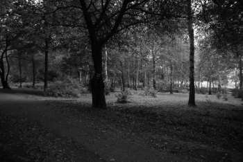 DSC_0219.JPG