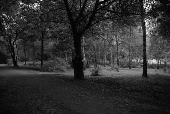 DSC_0220.JPG