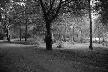 DSC_0221.JPG