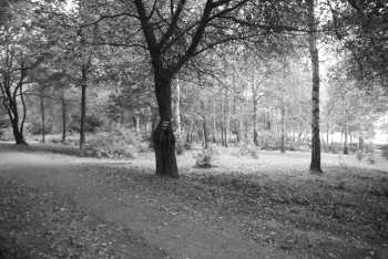 DSC_0222.JPG