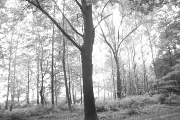 DSC_0224.JPG